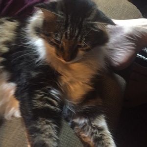 Meet your Posher, Barbara